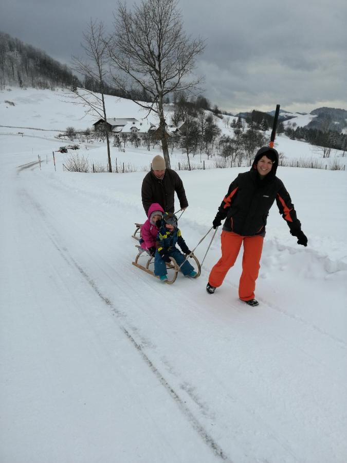 Urlaub Am Bauernhof Hoebarten Sankt Anton an der Jessnitz Esterno foto